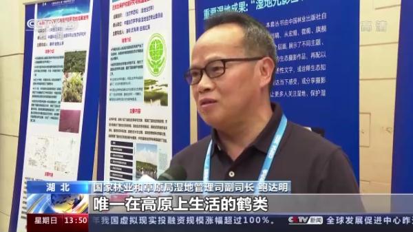 我国将加大泥炭沼泽湿地保护 助力实现“双碳”目标