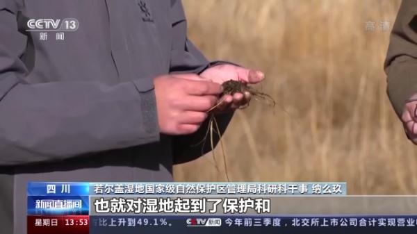 我国将加大泥炭沼泽湿地保护 助力实现“双碳”目标