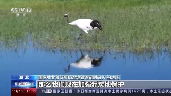 我国将加大泥炭沼泽湿地保护 助力实现“双碳”目标