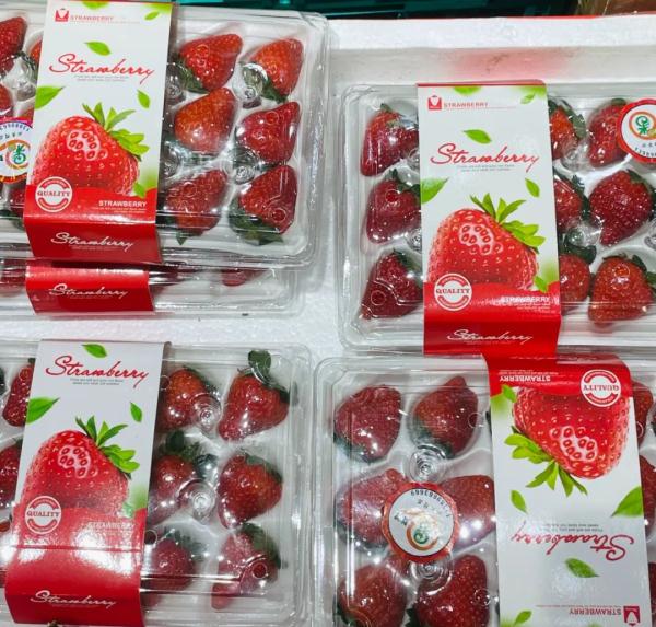 温州人超爱的这种水果，刚刚上市！2元一颗，买的人还不少……