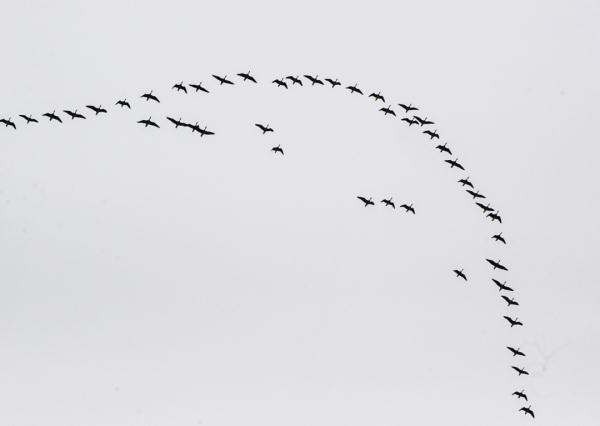 合肥上空，美翻了！