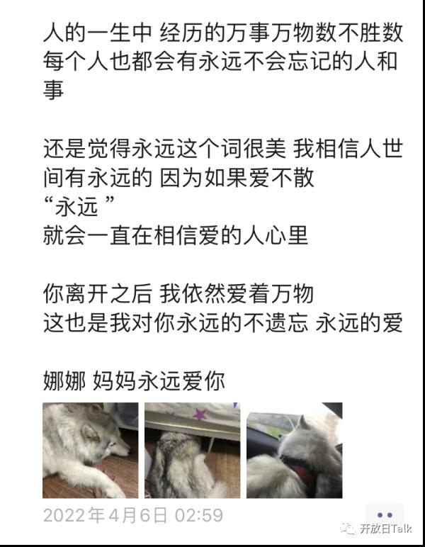 90后宠物殡葬师：每天直面死亡，我却不想“躺平”