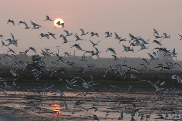 合肥上空，美翻了！