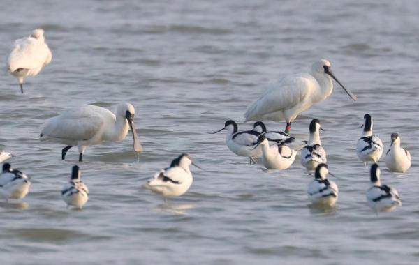 合肥上空，美翻了！