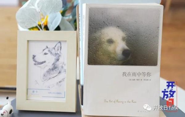 90后宠物殡葬师：每天直面死亡，我却不想“躺平”