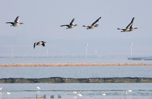 合肥上空，美翻了！