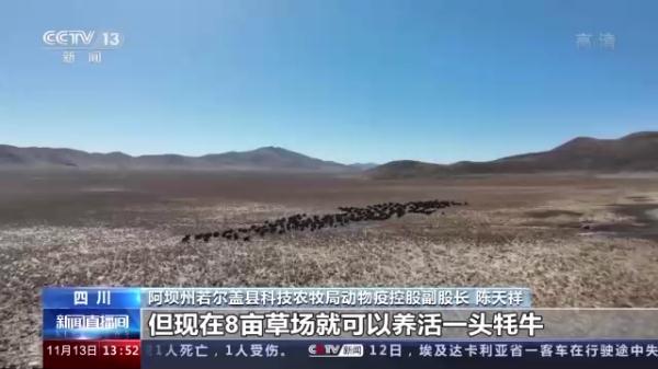 我国将加大泥炭沼泽湿地保护 助力实现“双碳”目标