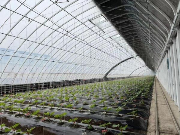 冬天,冰封的黑土地上还能收获些什么? 冬天,冰封的黑土地上还能收获些什么?