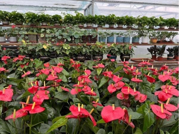 冬天,冰封的黑土地上还能收获些什么? 冬天,冰封的黑土地上还能收获些什么?