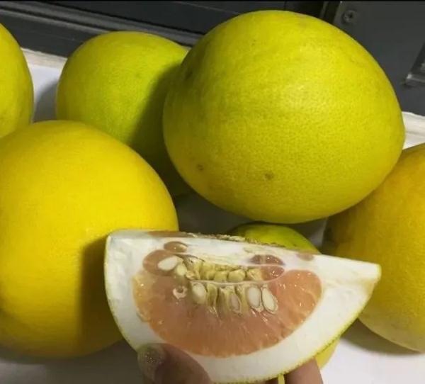 大风带来“礼物”,小区里近百颗柚子落了一地 大风带来“礼物”,小区里近百颗柚子落了一地