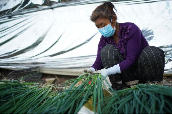冬天,冰封的黑土地上还能收获些什么? 冬天,冰封的黑土地上还能收获些什么?