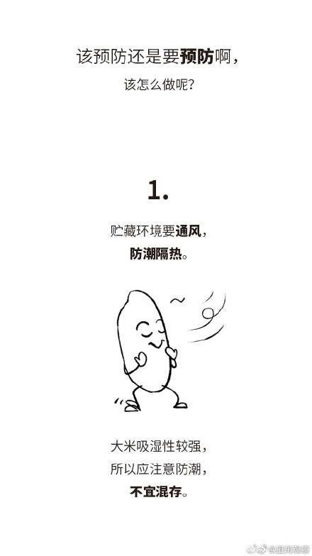学习！米缸里出现小虫该怎么做 ？