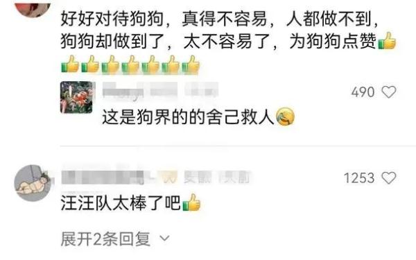 冲上热搜！合肥三岁男童走失，忠犬守护一夜