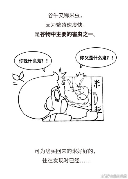学习！米缸里出现小虫该怎么做 ？