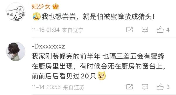 突然流蜜汁！打开厨房吊顶后惊呆了…