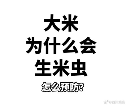 学习！米缸里出现小虫该怎么做 ？