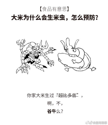 学习！米缸里出现小虫该怎么做 ？