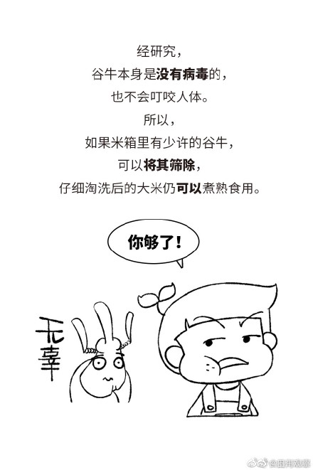 学习！米缸里出现小虫该怎么做 ？