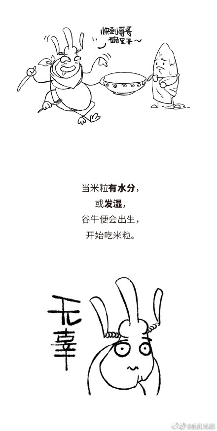 学习！米缸里出现小虫该怎么做 ？