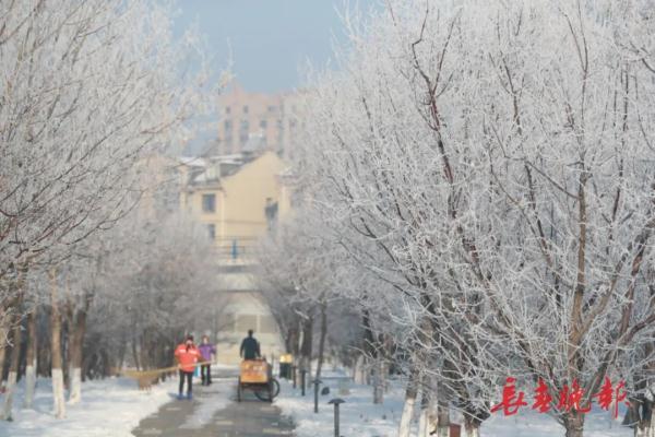 美翻了!长春入冬后首场雾凇景观,就在…… 美翻了!长春入冬后首场雾凇景观,就在……