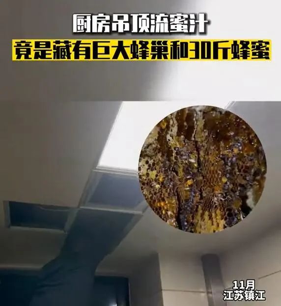 突然流蜜汁！打开厨房吊顶后惊呆了…