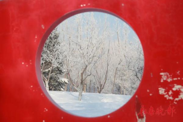 美翻了!长春入冬后首场雾凇景观,就在…… 美翻了!长春入冬后首场雾凇景观,就在……