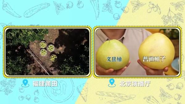 柚子肉、柚子皮煲汤入菜， 好吃又养生！