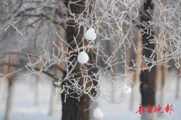 美翻了!长春入冬后首场雾凇景观,就在…… 美翻了!长春入冬后首场雾凇景观,就在……