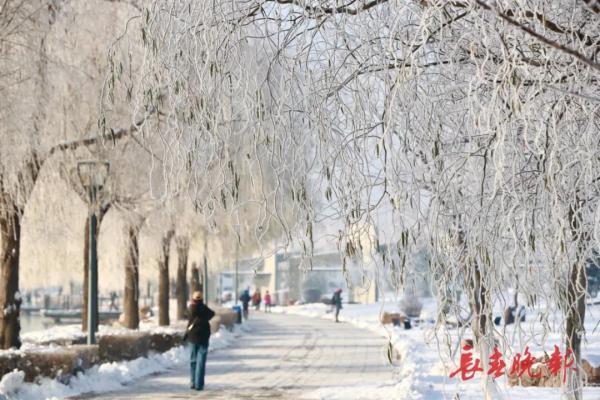 美翻了!长春入冬后首场雾凇景观,就在…… 美翻了!长春入冬后首场雾凇景观,就在……