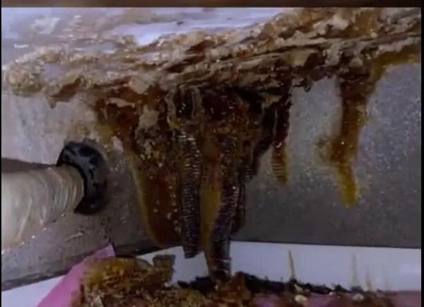 突然流蜜汁！打开厨房吊顶后惊呆了…