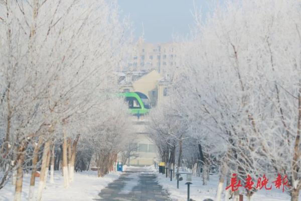 美翻了!长春入冬后首场雾凇景观,就在…… 美翻了!长春入冬后首场雾凇景观,就在……