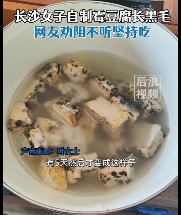 女子自制霉豆腐长黑毛!医生提醒:长期食用这种食物需注意 女子自制霉豆腐长黑毛!医生提醒:长期食用这种食物需注意
