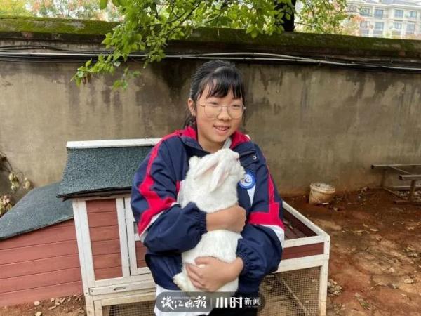 学校发兔子啦！衢州一小学推行“动物领养制”，背后故事很暖心