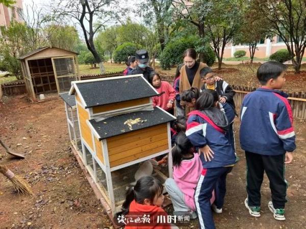 学校发兔子啦！衢州一小学推行“动物领养制”，背后故事很暖心