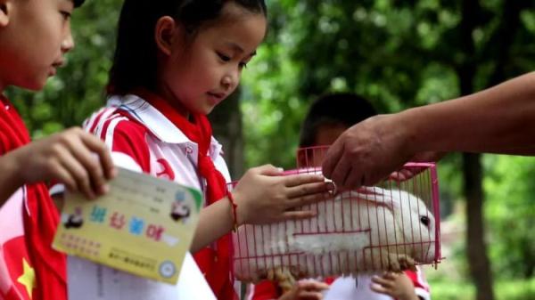 学校发兔子啦！衢州一小学推行“动物领养制”，背后故事很暖心
