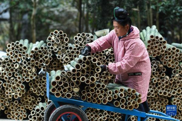 贵州丹寨：非遗老技艺 焕发新生机