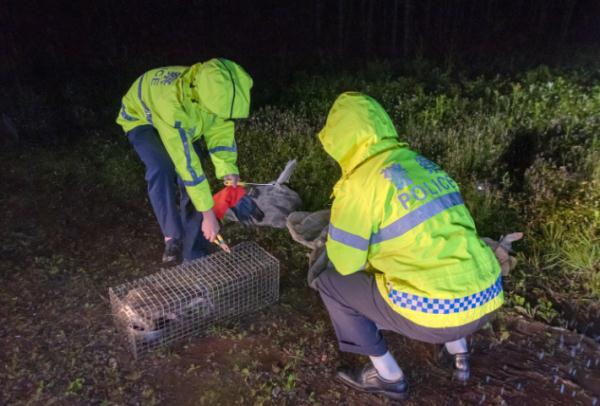 惊呆了!打开冰柜,300条蛇“扑面而来” 惊呆了!打开冰柜,300条蛇“扑面而来”
