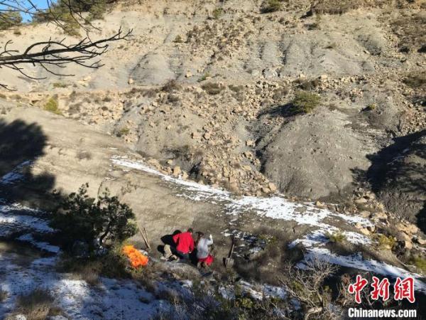 国际最新研究发现新物种化石 或为全球史上最大海洋龟类之一