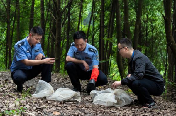 惊呆了!打开冰柜,300条蛇“扑面而来” 惊呆了!打开冰柜,300条蛇“扑面而来”