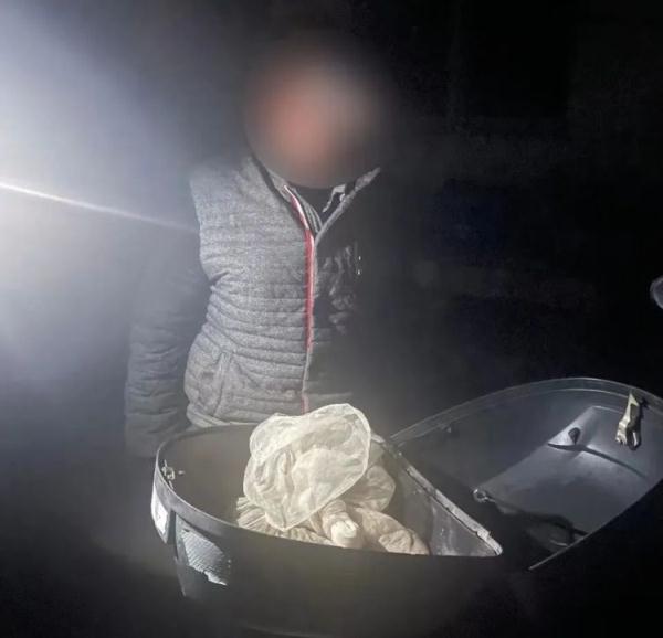 野生石蛙能治“脚抽筋”？这偏方可真“刑”！