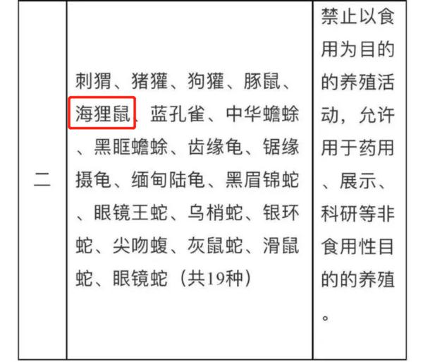 警惕！上海多区发现这一外来物种，比老鼠大几倍，危害农作物和堤坝