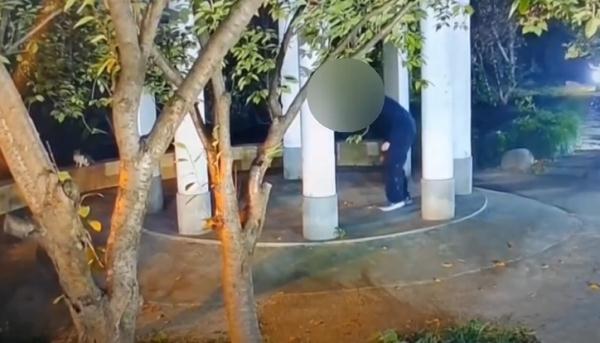 上海一小区1个月内20多只小猫离奇死亡，监控拍下这一幕…