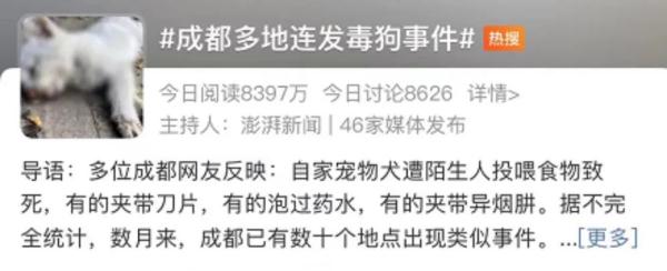 毒狗，毒不出养宠文明！