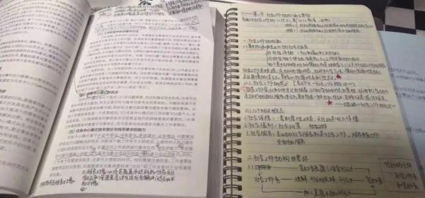 大学生笔记大赏！网友：学到了，录取通知书哪里领？