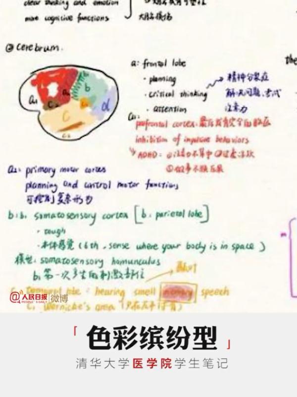 大学生笔记大赏！网友：学到了，录取通知书哪里领？