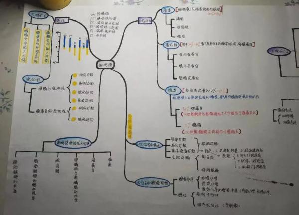 大学生笔记大赏！网友：学到了，录取通知书哪里领？