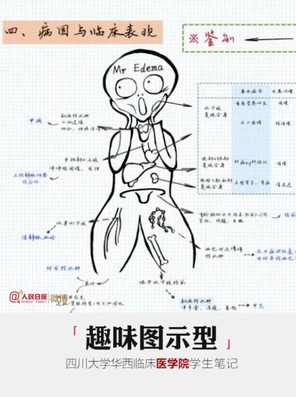 大学生笔记大赏！网友：学到了，录取通知书哪里领？