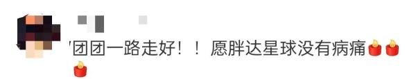 一亿多人次投票取名的“团团”，走了