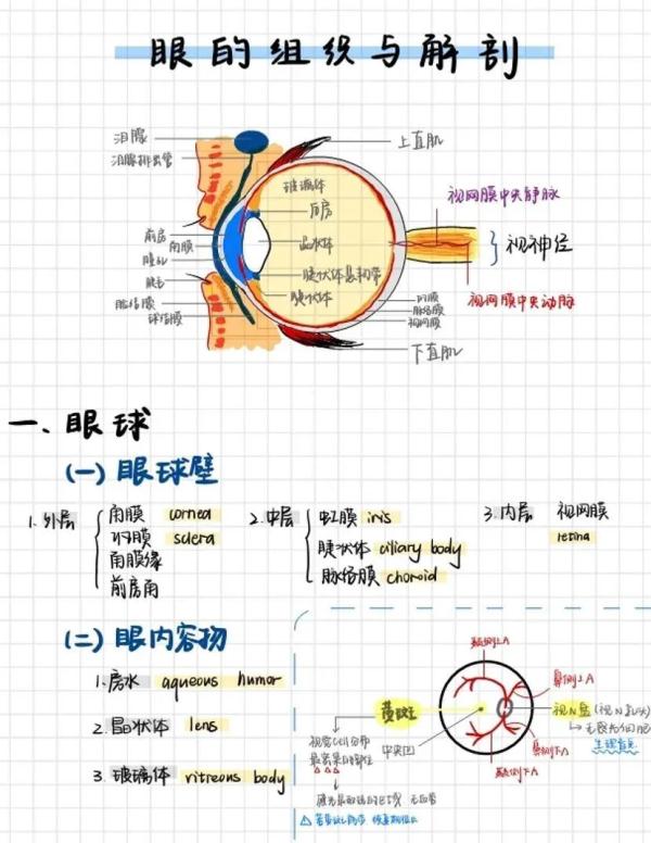 大学生笔记大赏！网友：学到了，录取通知书哪里领？