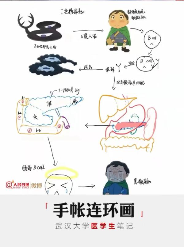 大学生笔记大赏！网友：学到了，录取通知书哪里领？